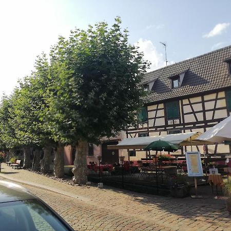 Gites Aux Fines Bulles D'Alsace Spa Privatif En Supplement Bergheim Zewnętrze zdjęcie