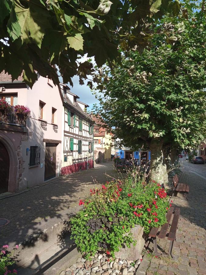Gites Aux Fines Bulles D'Alsace Spa Privatif En Supplement Bergheim Zewnętrze zdjęcie